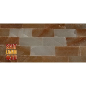 Соляная плитка белая 200x100x25