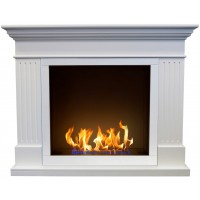Биокамин ZeFire Токен