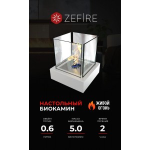 Биокамин ZeFire Квант Металл (Quant metall)