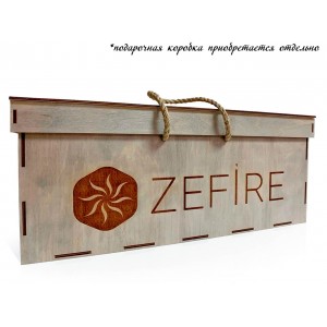 Биокамин ZeFire Токио (Tokio)