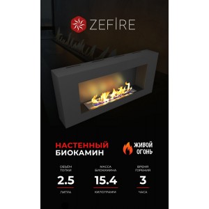 Биокамин ZeFire Орион 900 (Orion 900)