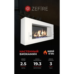 Биокамин ZeFire Орион 900 (Orion 900)