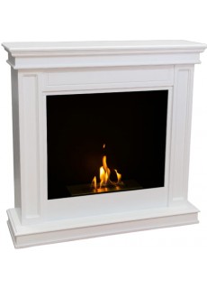 Биокамин Firebird Селена