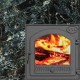 Пироксенит Black, чугунная панорамная дверь  + 49 900 руб. 