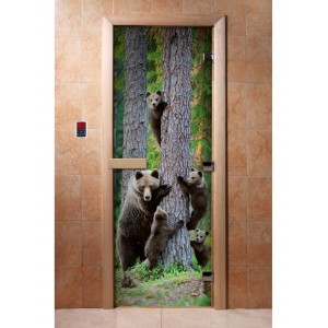 Дверь с фотопечатью DoorWood A064