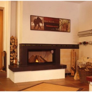 Каминная топка Spartherm Varia Ah 4S 2