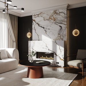 Газовая топка Airtone Gassi 600 Фронтальная