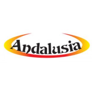 Новинки каминных облицовок Andalusia