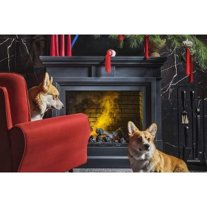 Портал Dimplex Coventry - Кирпич