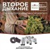 Второе дыхание для бани Woodson