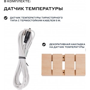 Пульт управления Born CP 18