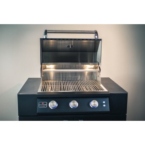 Газовый гриль Астов Deluxe 3 (Делюкс 3)