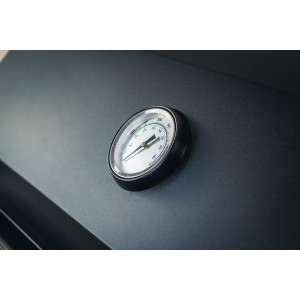 Газовый гриль Астов Deluxe 4 (Делюкс 4)