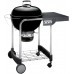 Угольный гриль Weber Performer GBS