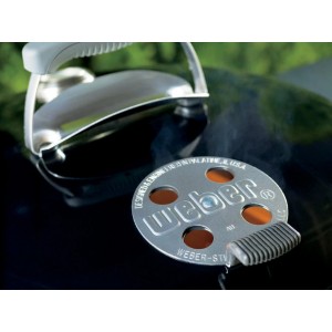 Угольный гриль Weber Performer GBS