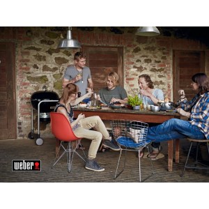 Угольный гриль Weber Performer GBS
