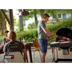 Угольный гриль Weber Performer GBS