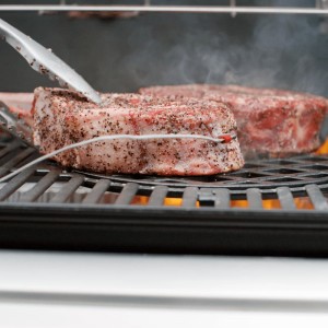 Газовый гриль Weber Spirit Premium EPX-325 GBS
