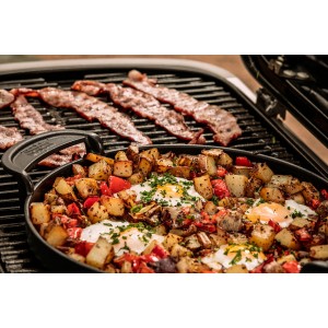 Газовый гриль Weber Traveler