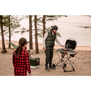 Газовый гриль Weber Traveler