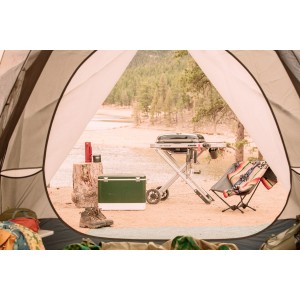 Газовый гриль Weber Traveler