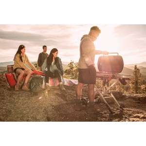 Газовый гриль Weber Traveler