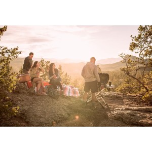 Газовый гриль Weber Traveler