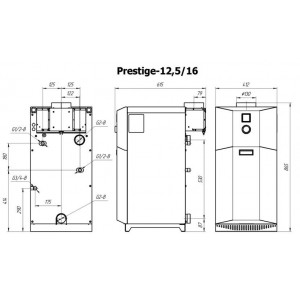 Газовый котел Лемакс Prestige-12,5