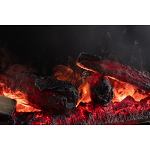 Очаг Royal Flame Design L1000RF 3D PS LOG