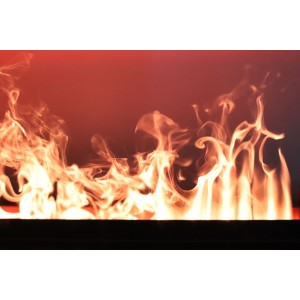 Очаг Royal Flame Design L1000RF 3D PS LOG