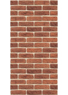 Фиброцементная плита Astonit Декор Красный №1002 (1200x600x9) Вертикаль