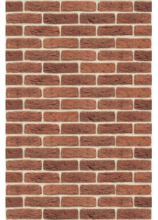 Фиброцементная плита Astonit Декор Красный №1002 (1200x800x9) Вертикаль